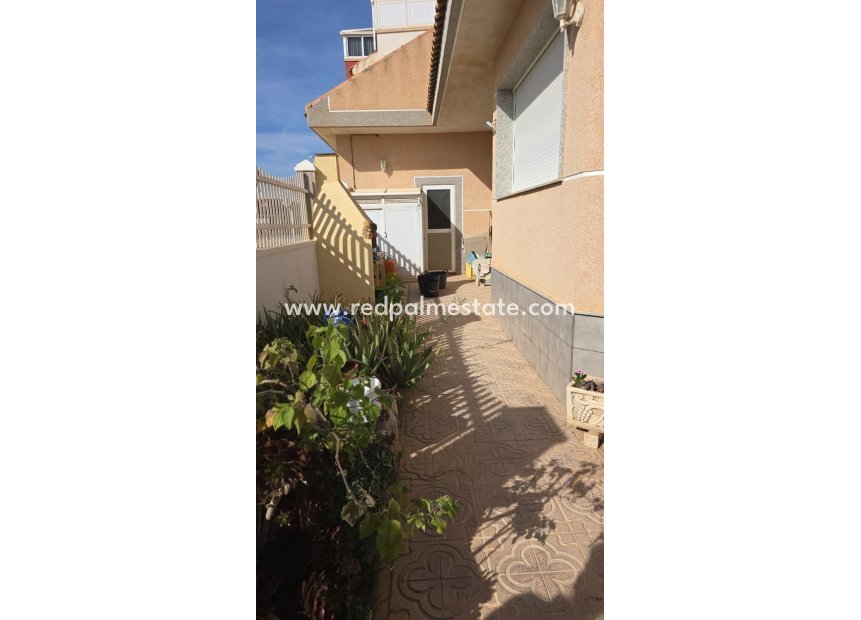 Revente - Villa -
Pilar de la Horadada