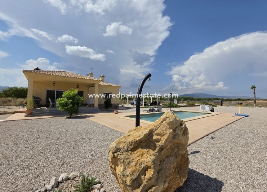 Revente - Villa -
Pinoso - Inland