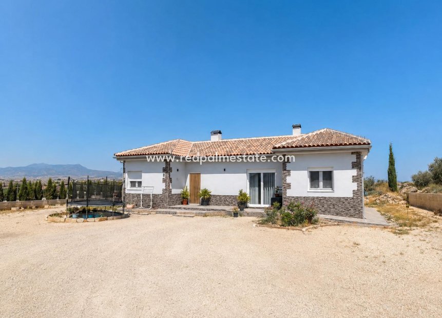 Revente - Villa -
Pinoso - Inland