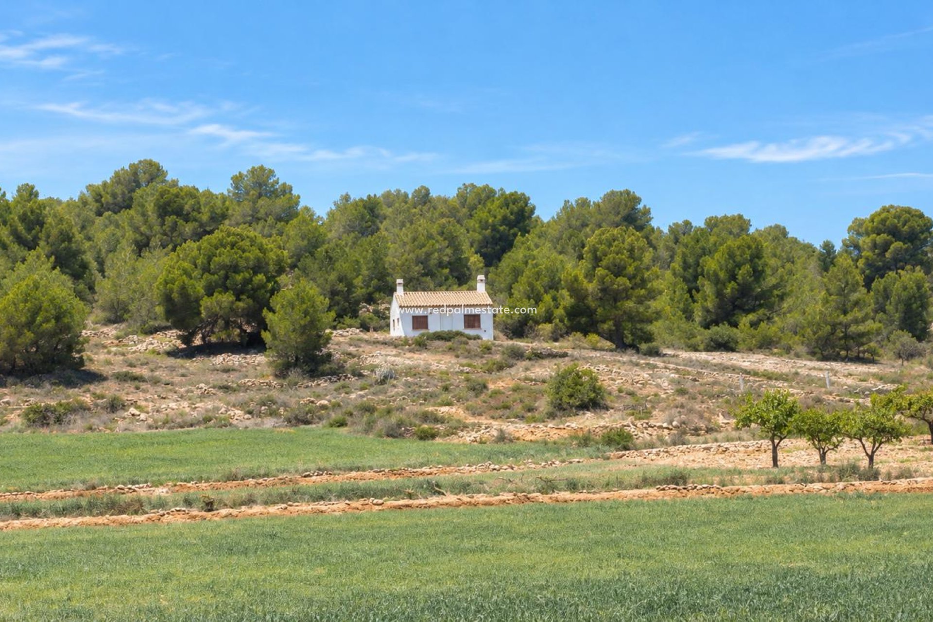Revente - Villa -
Pinoso - Inland