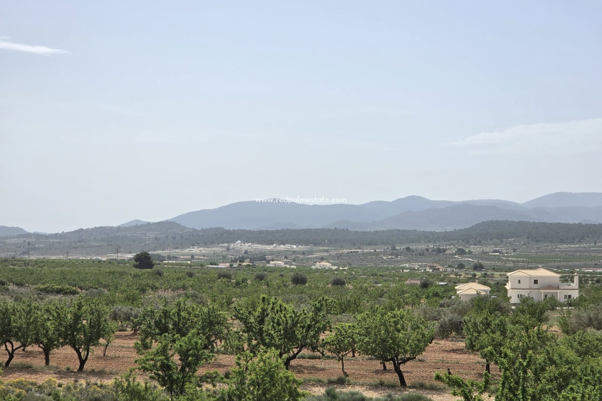Revente - Villa -
Pinoso - Inland