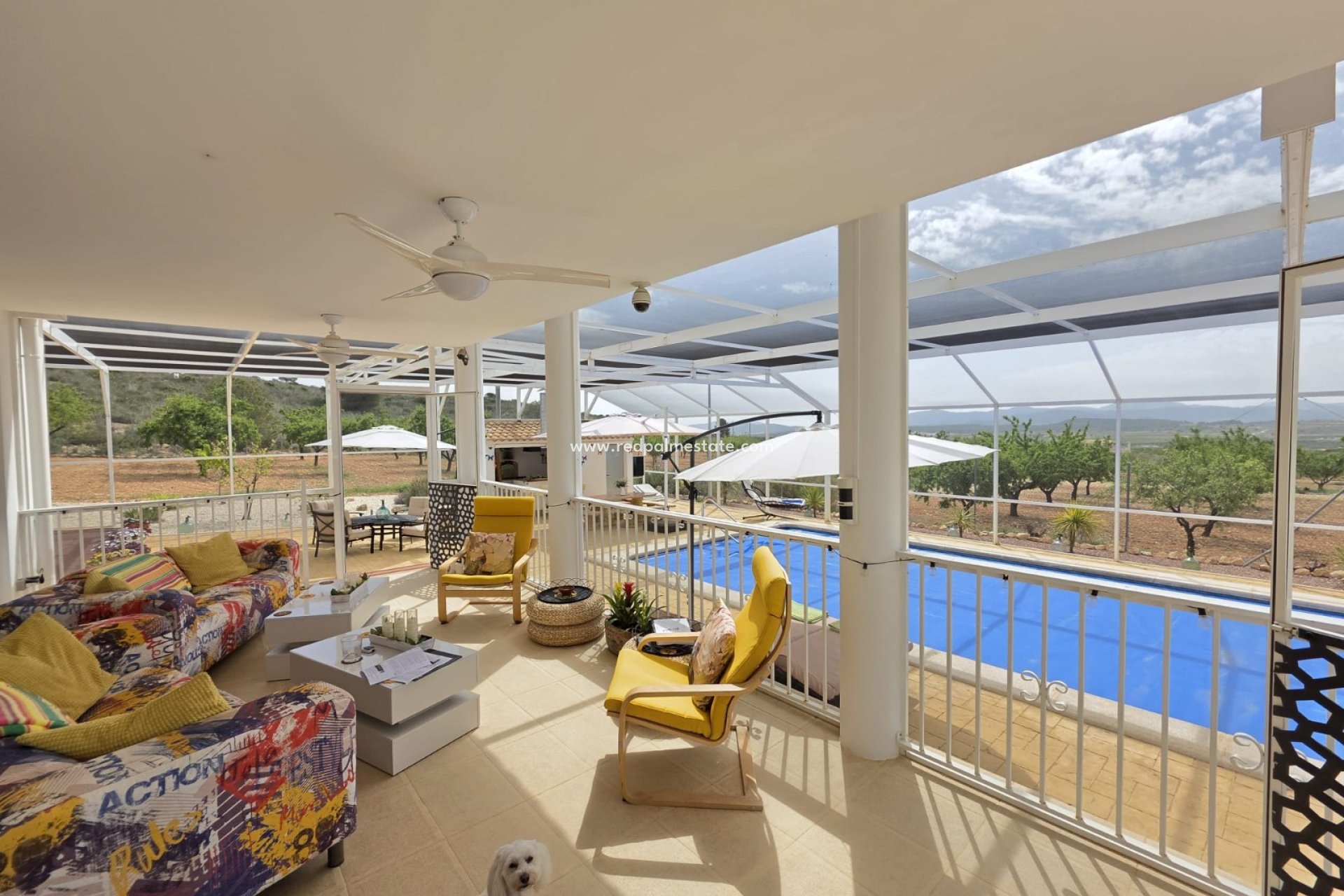 Revente - Villa -
Pinoso - Inland