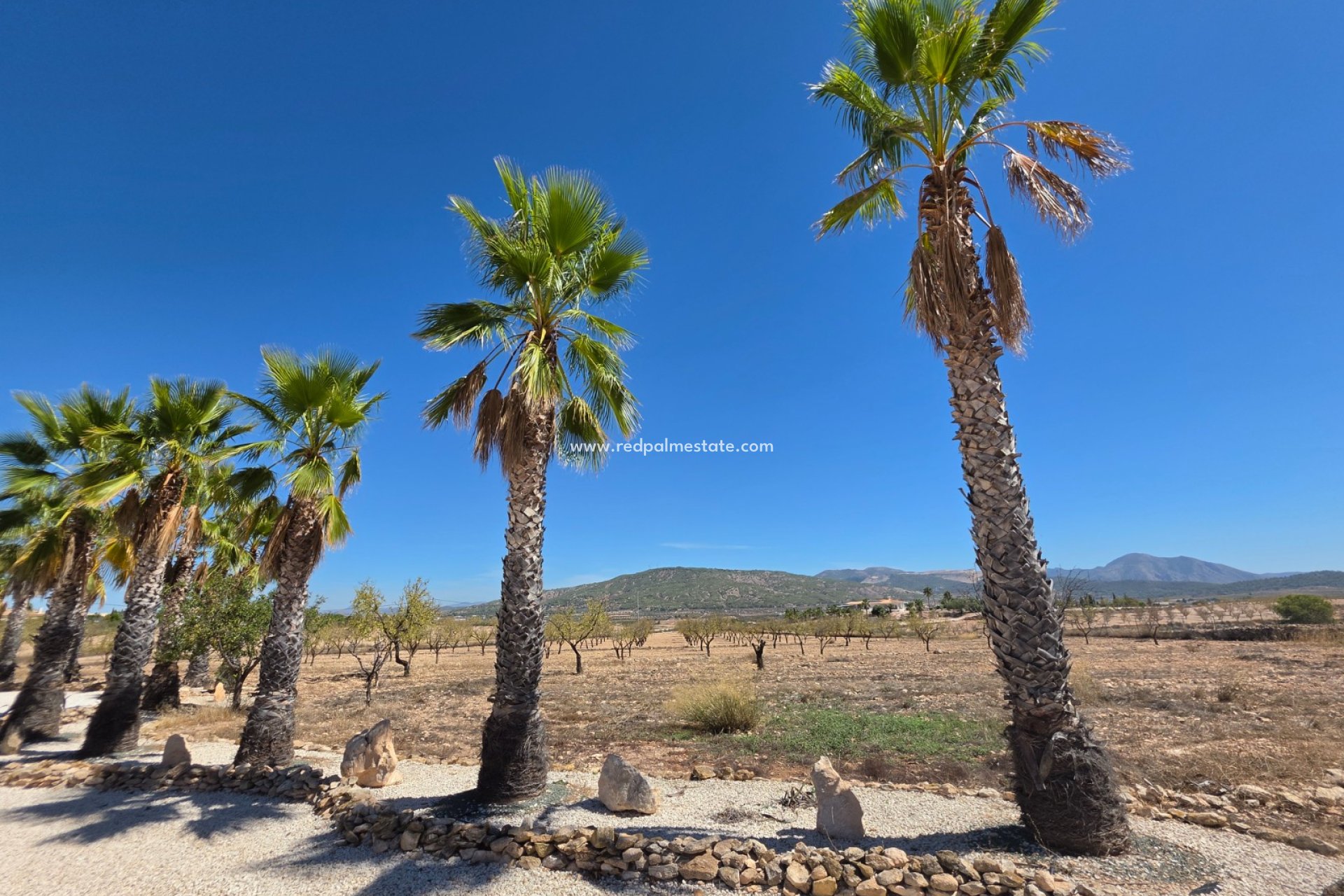Revente - Villa -
Pinoso - Inland