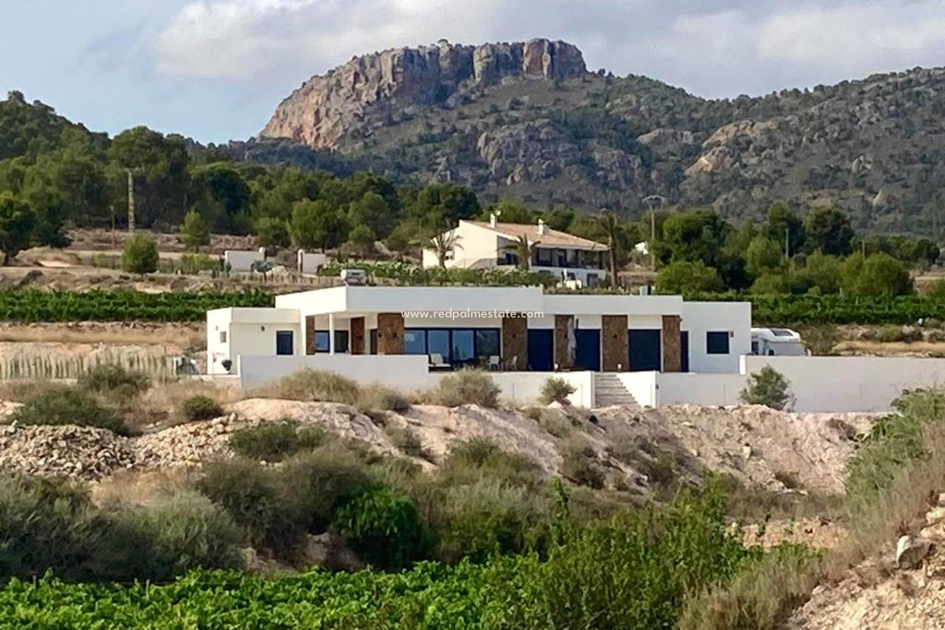 Revente - Villa -
Pinoso - Inland