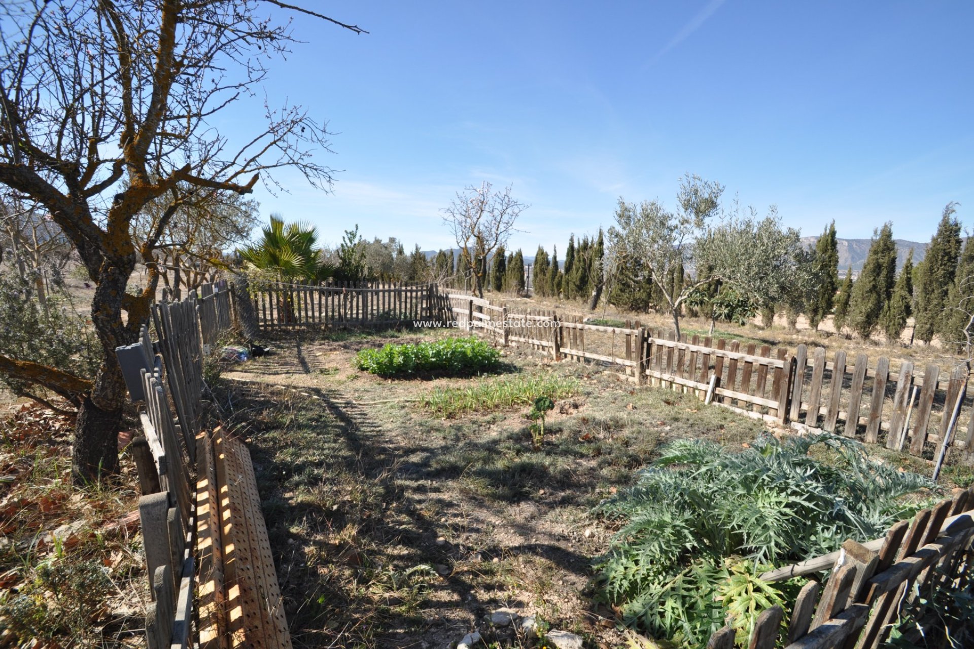 Revente - Villa -
Salinas - Inland