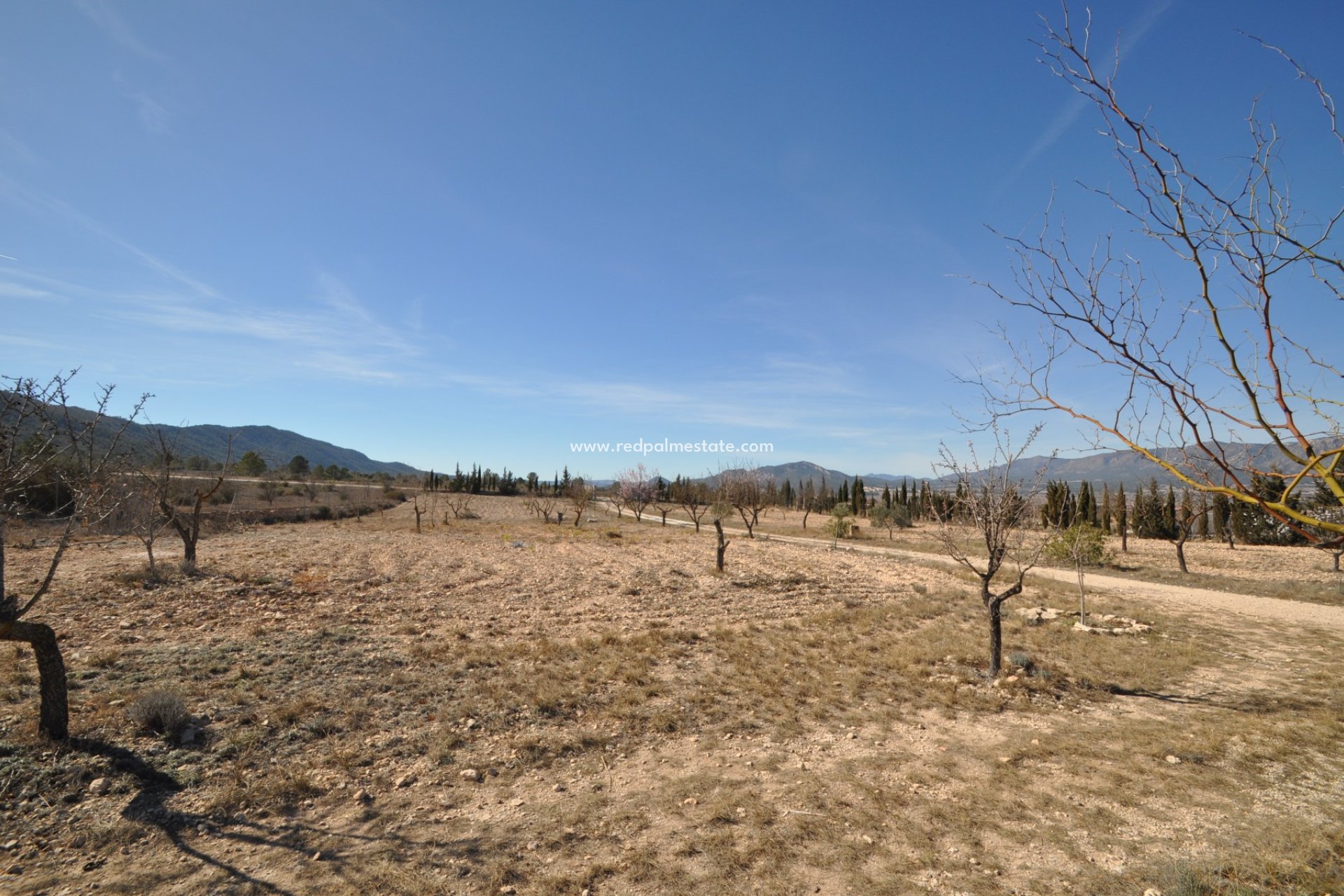 Revente - Villa -
Salinas - Inland