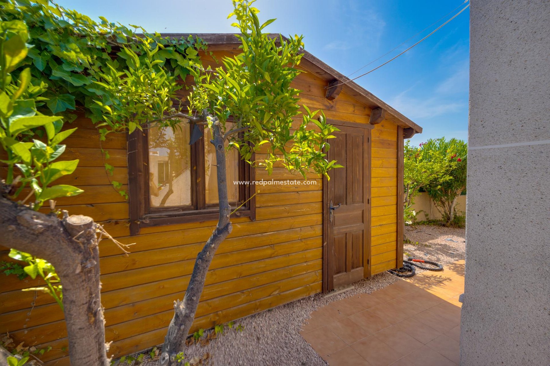 Revente - Villa -
San Fulgencio