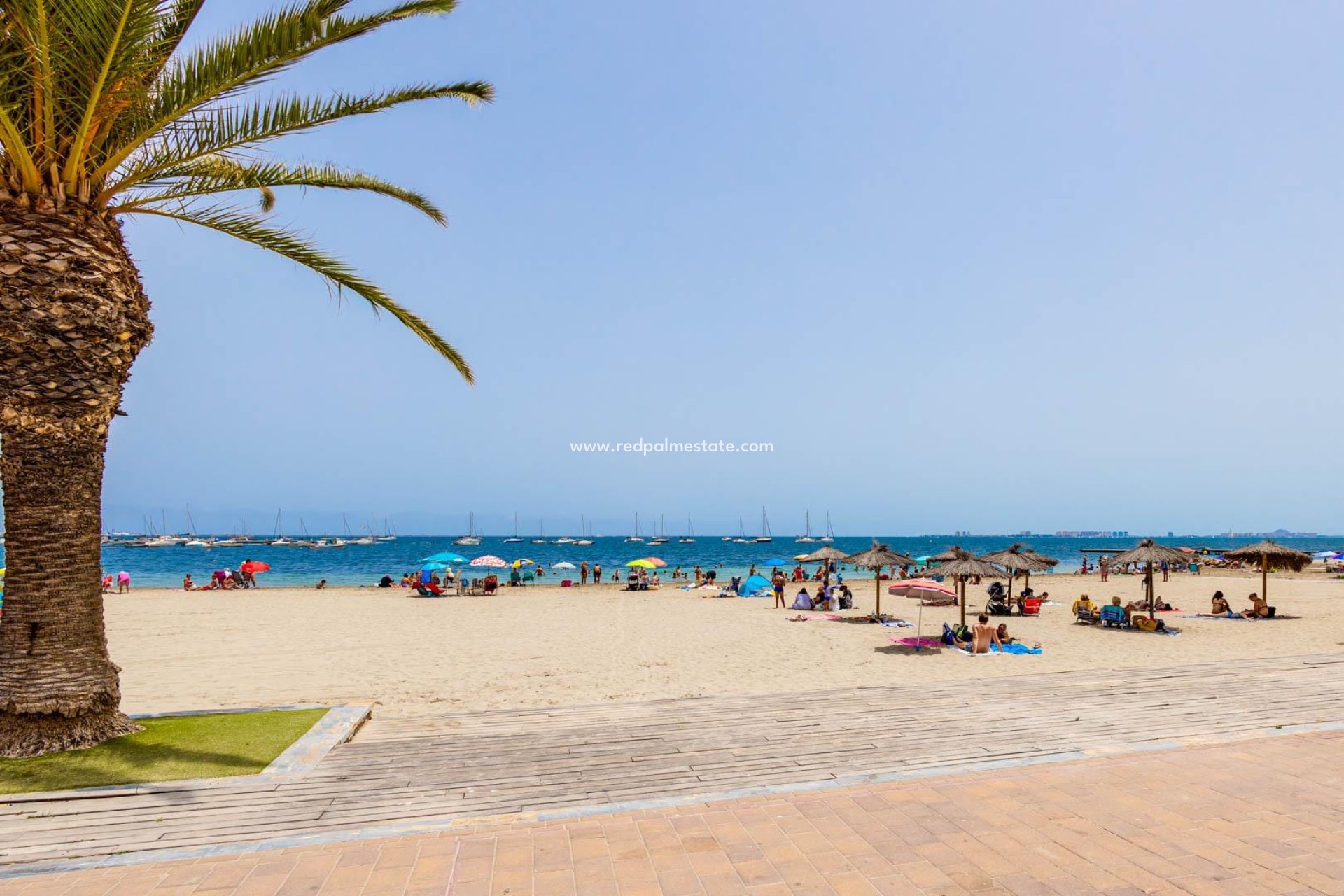 Revente - Villa -
San Javier