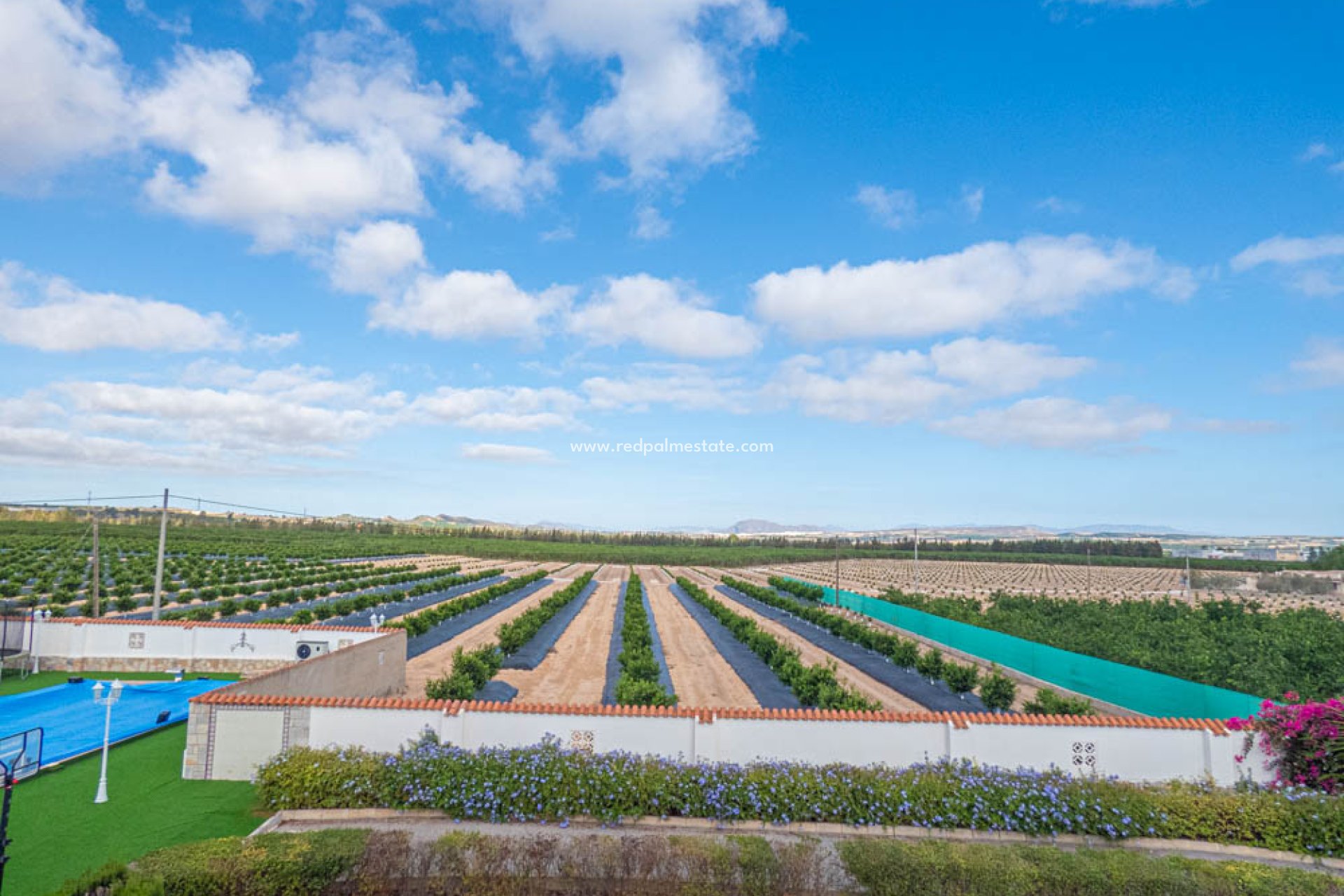 Revente - Villa -
San Miguel de Salinas - Inland