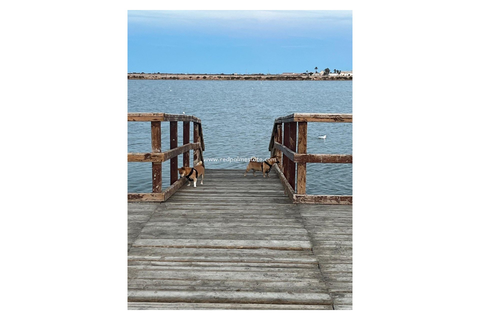 Revente - Villa -
San Pedro del Pinatar - San Pedro de Pinatar