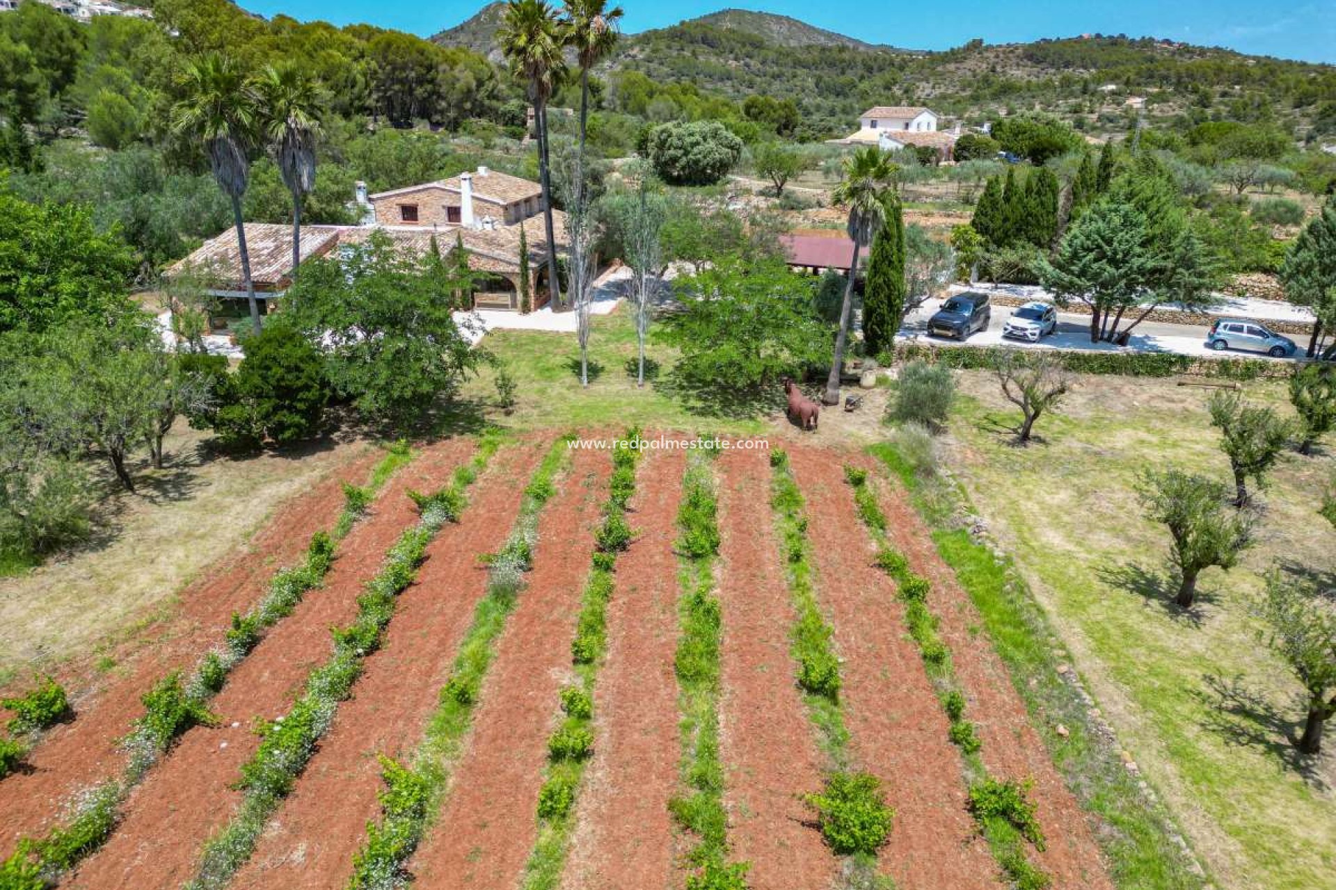 Revente - Villa -
Senija - Inland