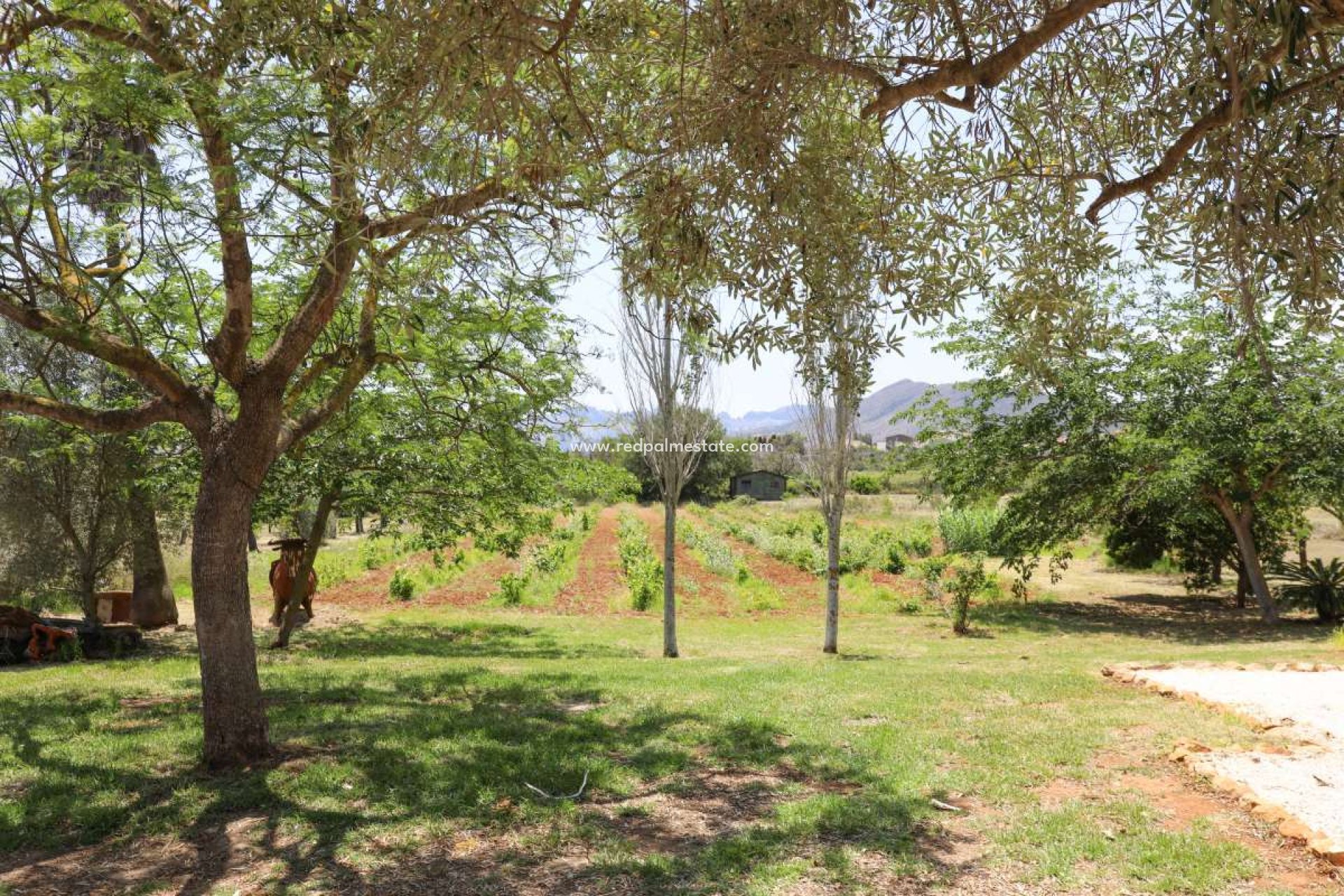 Revente - Villa -
Senija - Inland