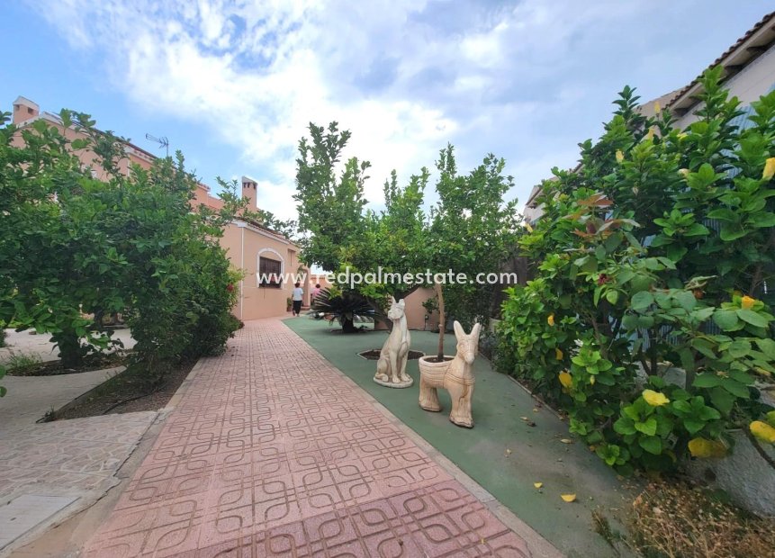 Revente - Villa -
Torrevieja - Aguas Nueva