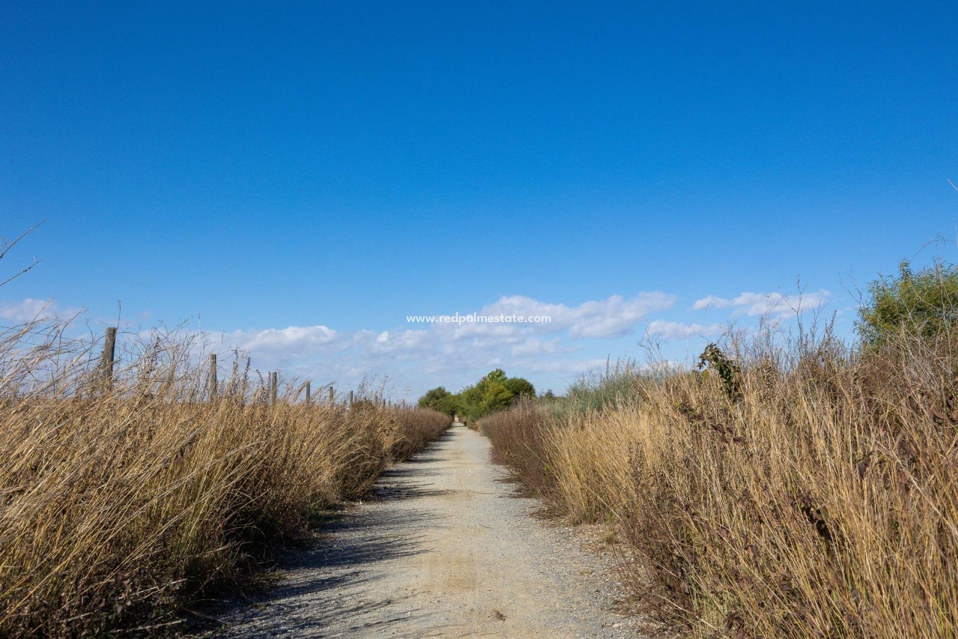 Revente - Villa -
Torrevieja - El limonar