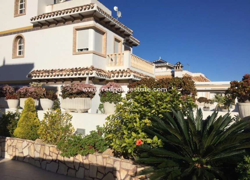 Revente - Villa -
Torrevieja - La Mata