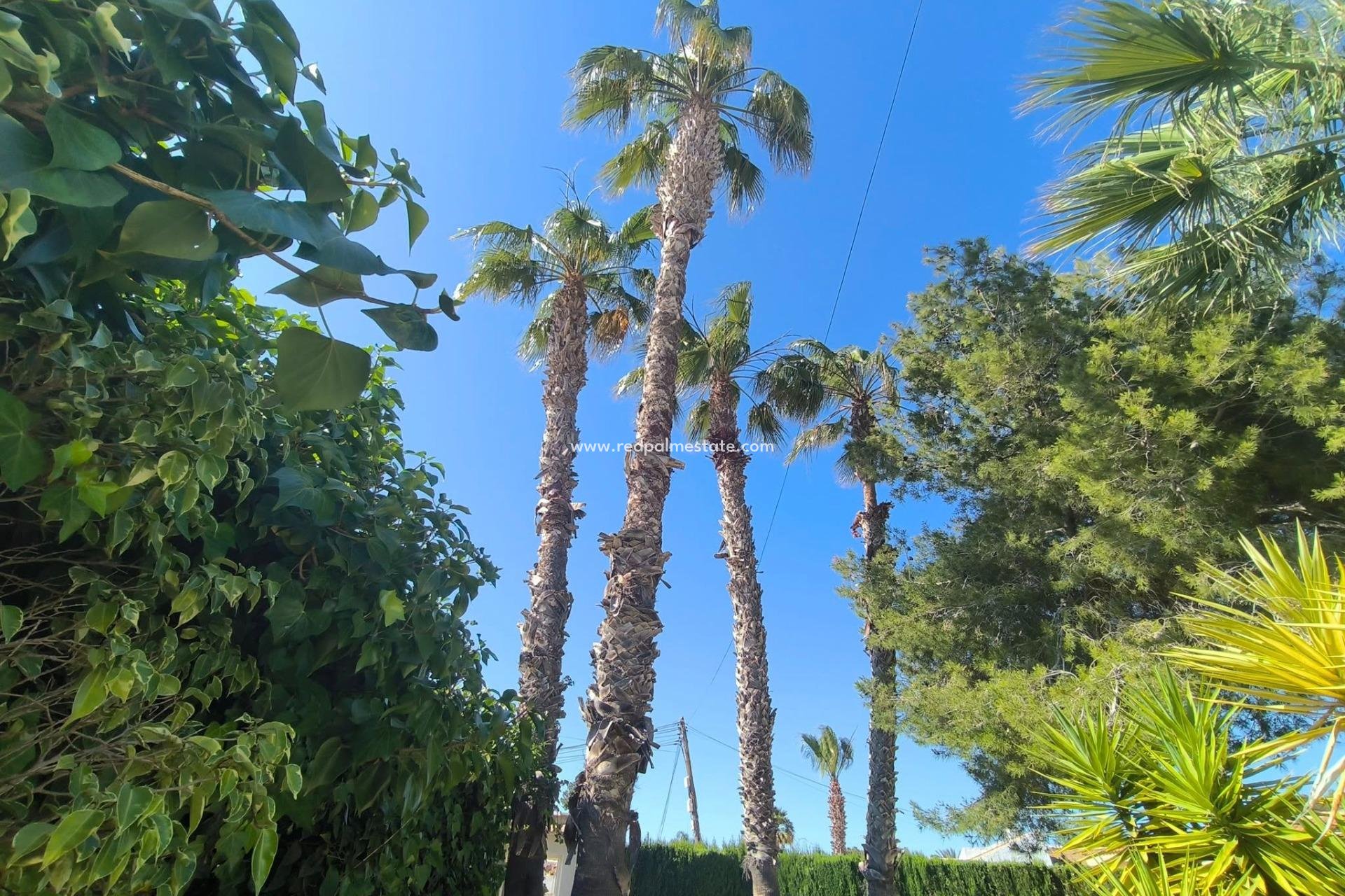 Revente - Villa -
Torrevieja - La Siesta - El Salado - Torreta