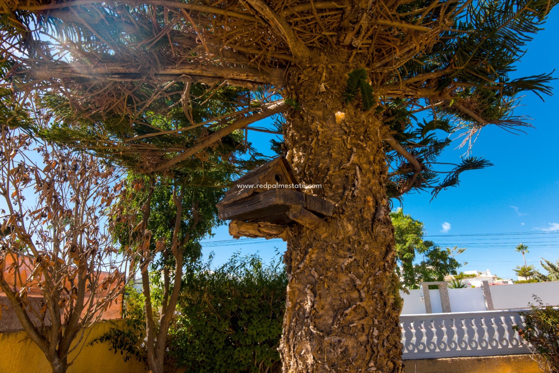 Revente - Villa -
Torrevieja - La Siesta - El Salado - Torreta