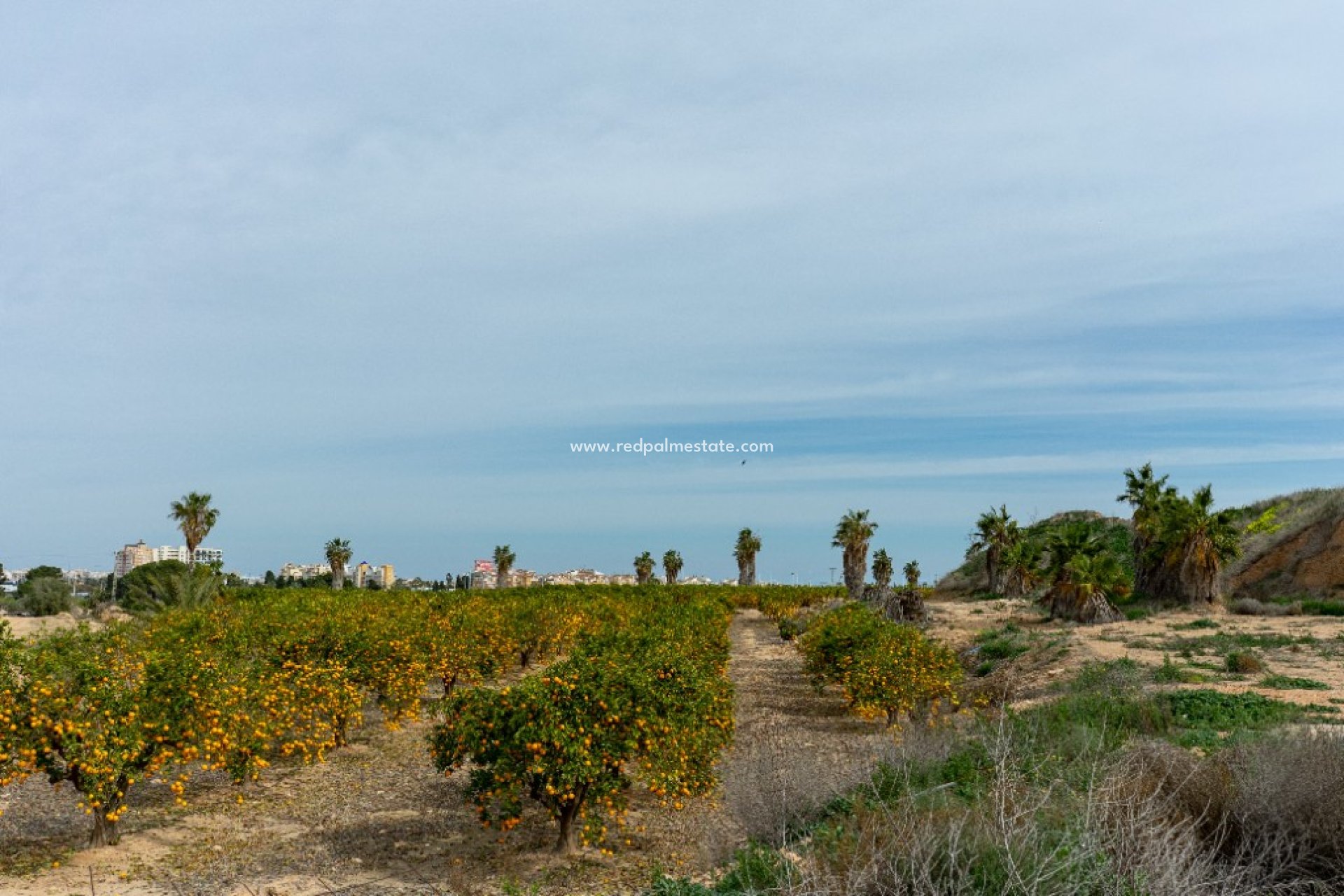 Revente - Villa -
Torrevieja - Los Altos