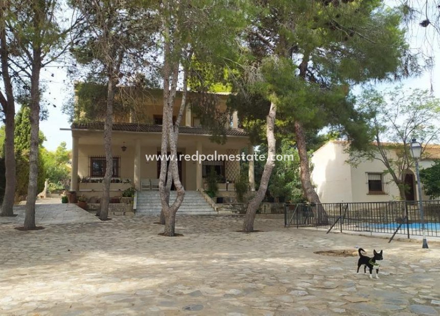 Revente - Villa -
Torrevieja - Los balcones