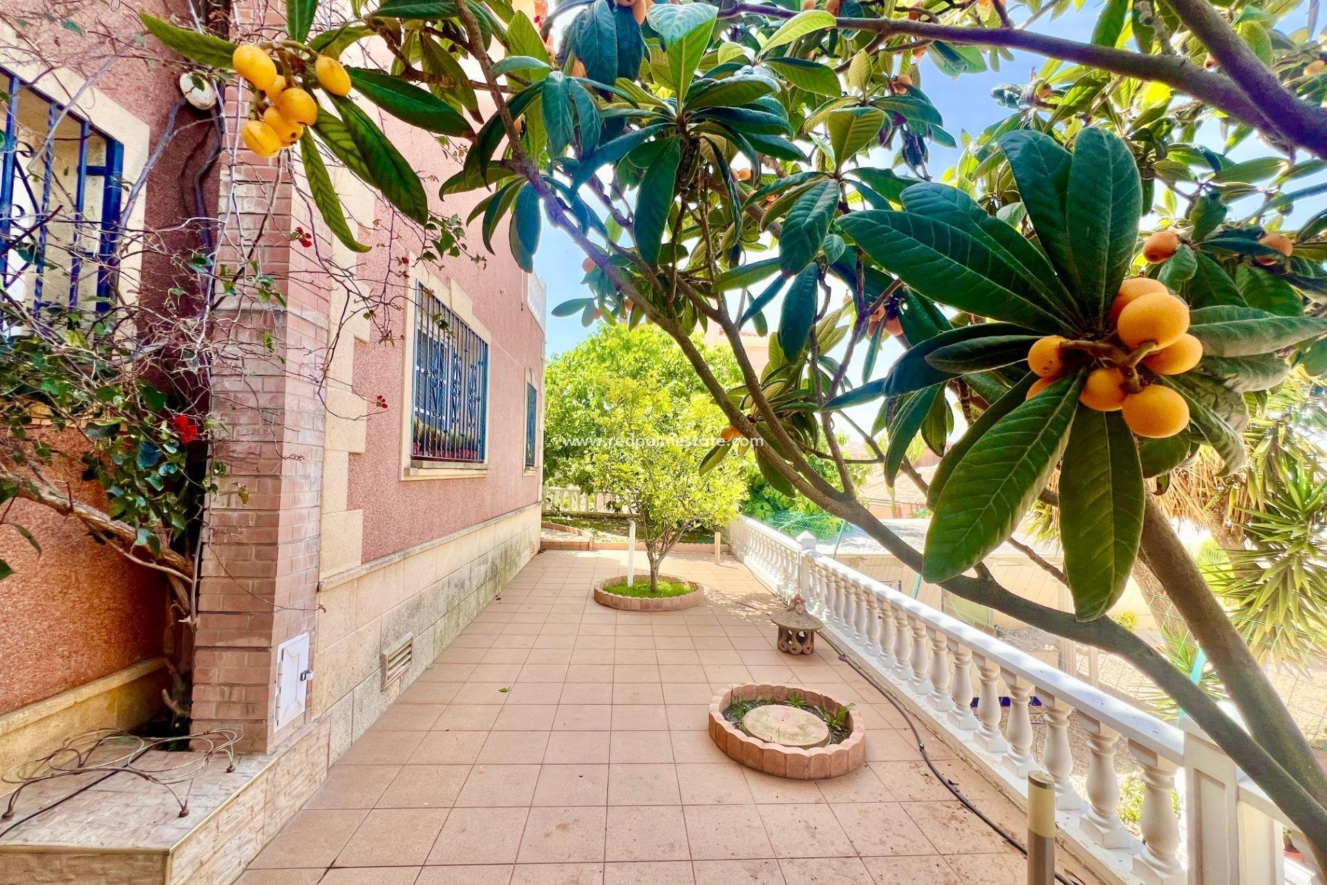 Revente - Villa -
Torrevieja - Los balcones