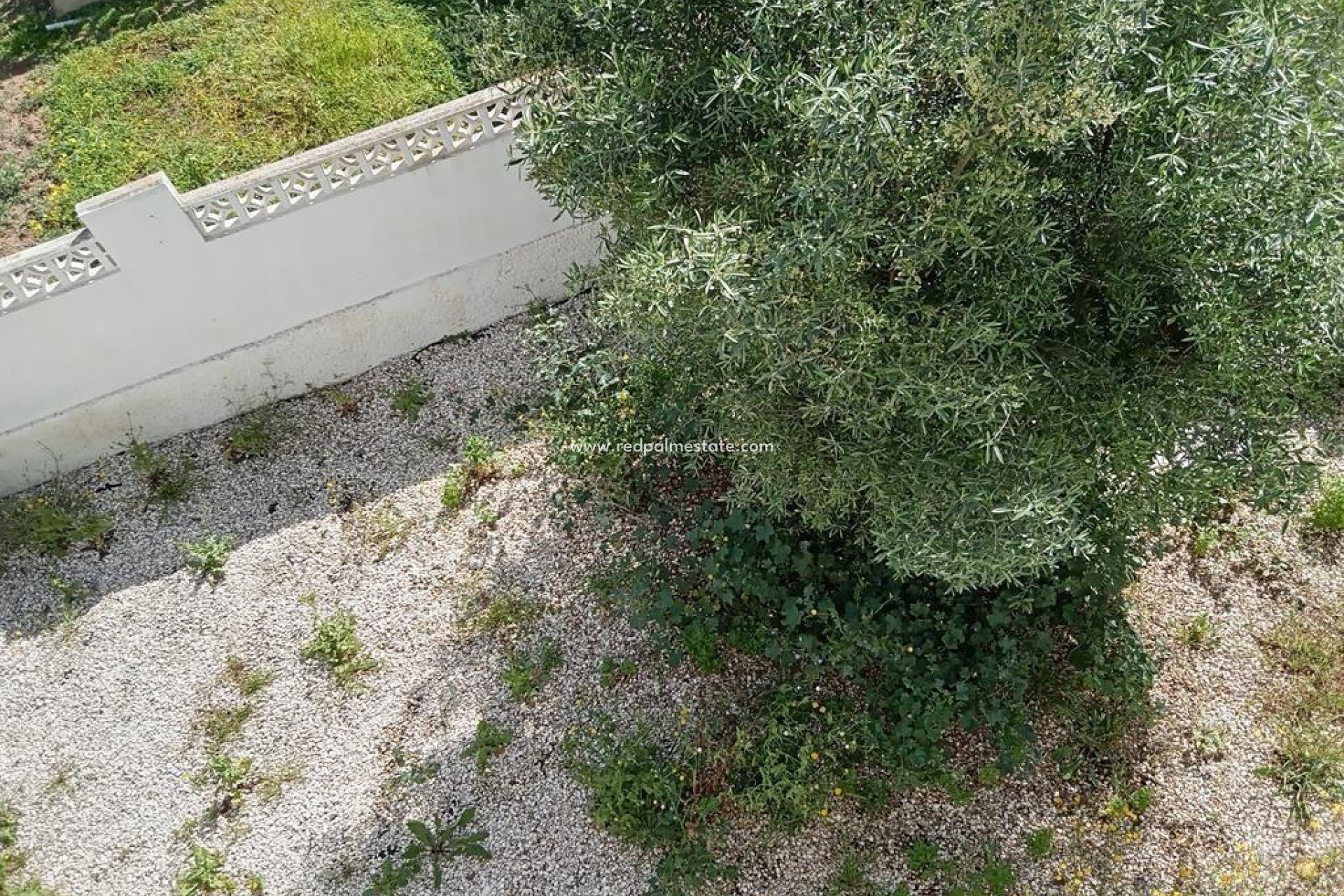 Revente - Villa -
Torrevieja - Los balcones