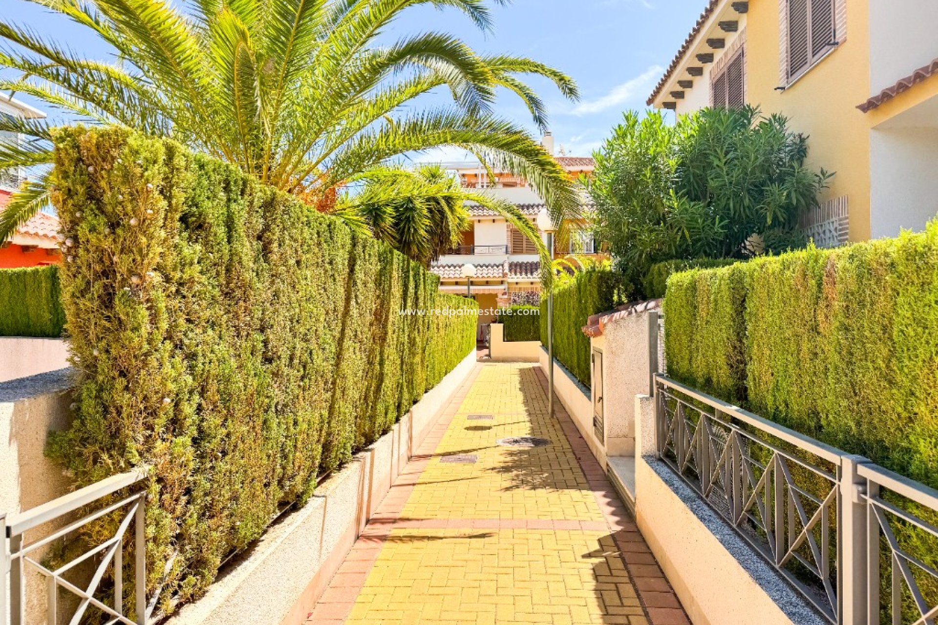 Short Term Rental - Apartments -
Orihuela Costa - Zeniamar
