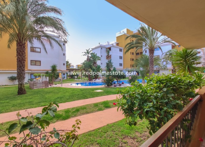 Short Term Rental - Apartments -
Torrevieja - La Entrada