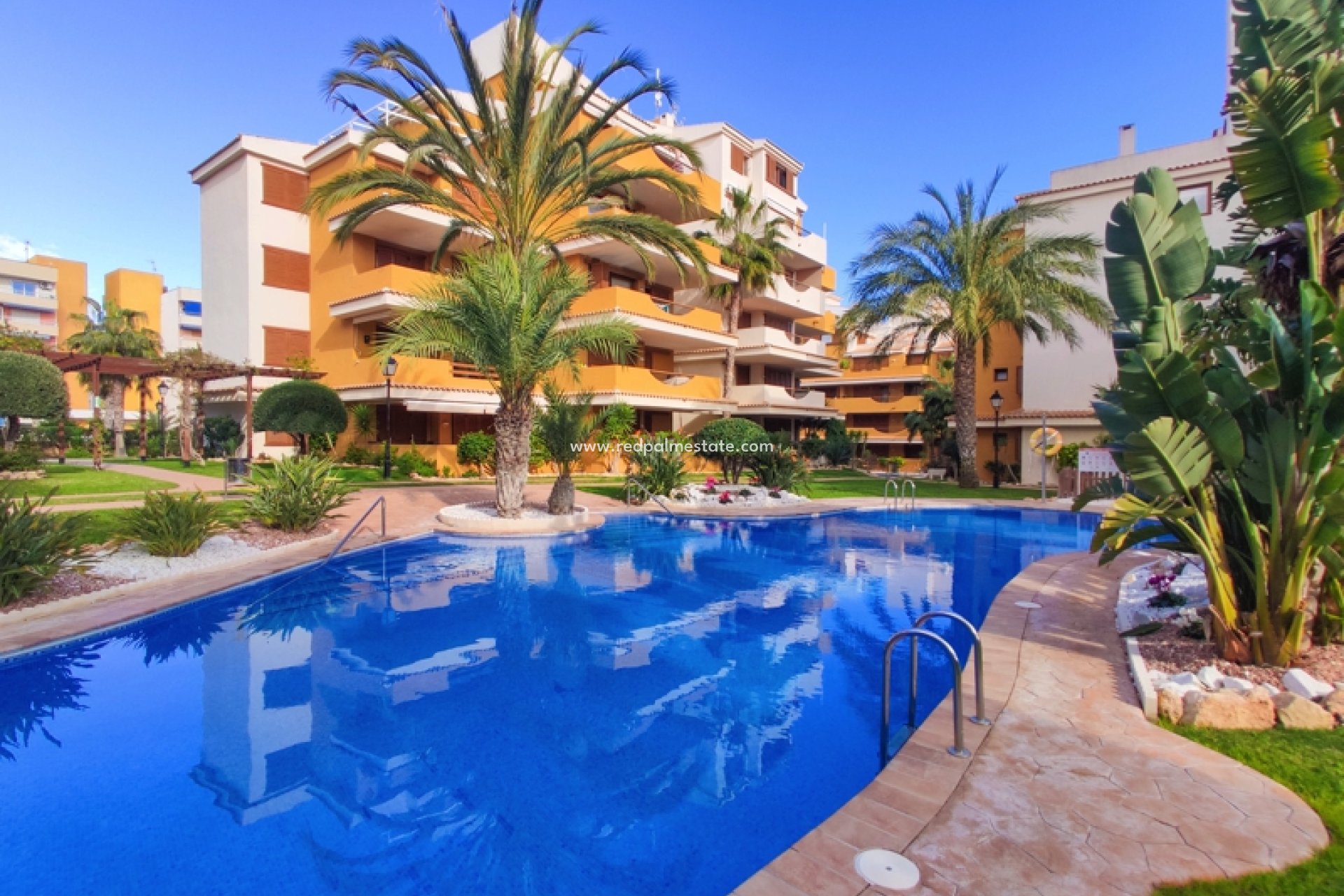 Short Term Rental - Apartments -
Torrevieja - La Entrada