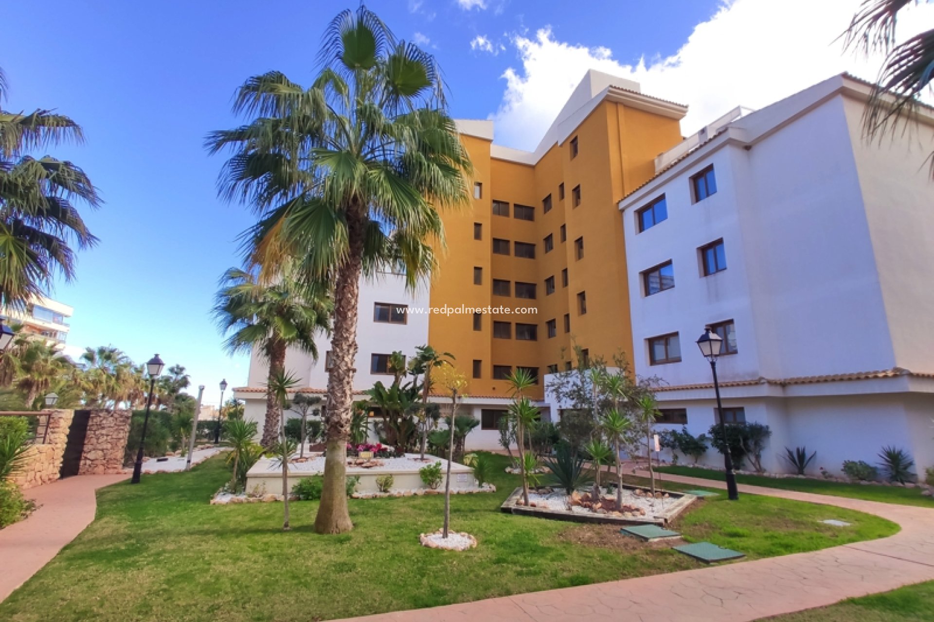 Short Term Rental - Apartments -
Torrevieja - La Entrada