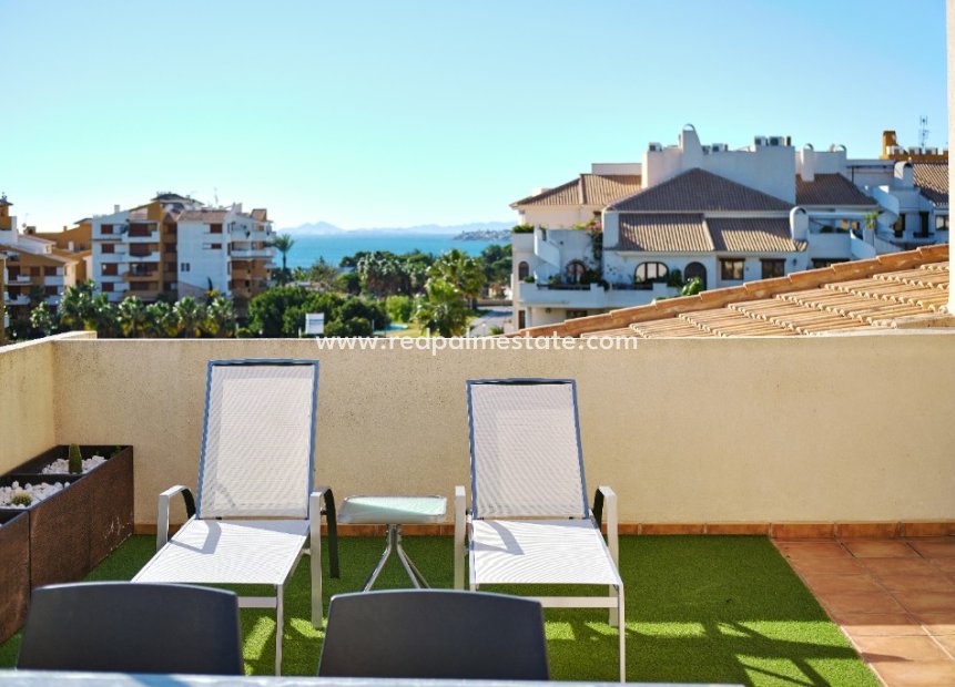 Short Term Rental - Apartments -
Torrevieja - La Entrada