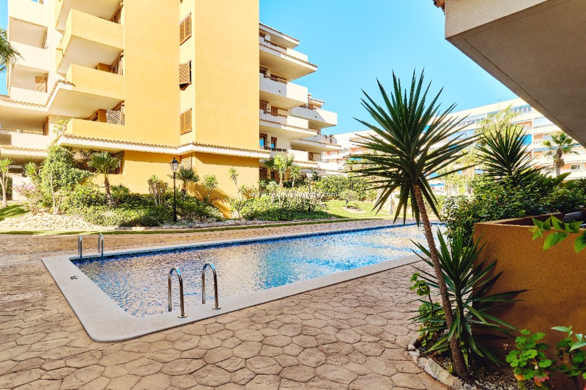 Short Term Rental - Apartments -
Torrevieja - La Entrada