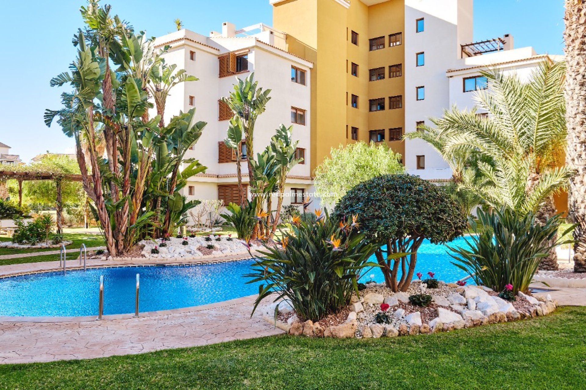 Short Term Rental - Apartments -
Torrevieja - La Entrada
