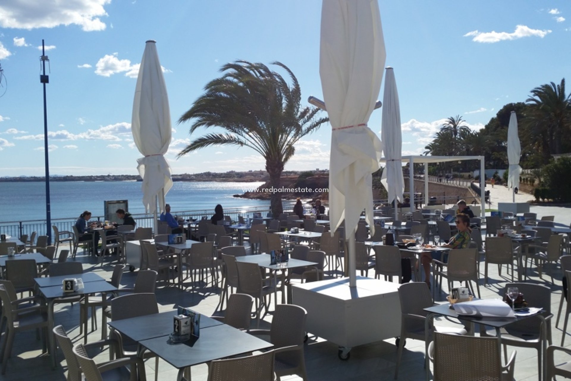 Short Term Rental - Apartments -
Torrevieja - La Recoleta