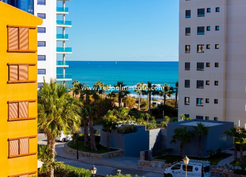 Short Term Rental - Apartments -
Torrevieja - La Recoleta