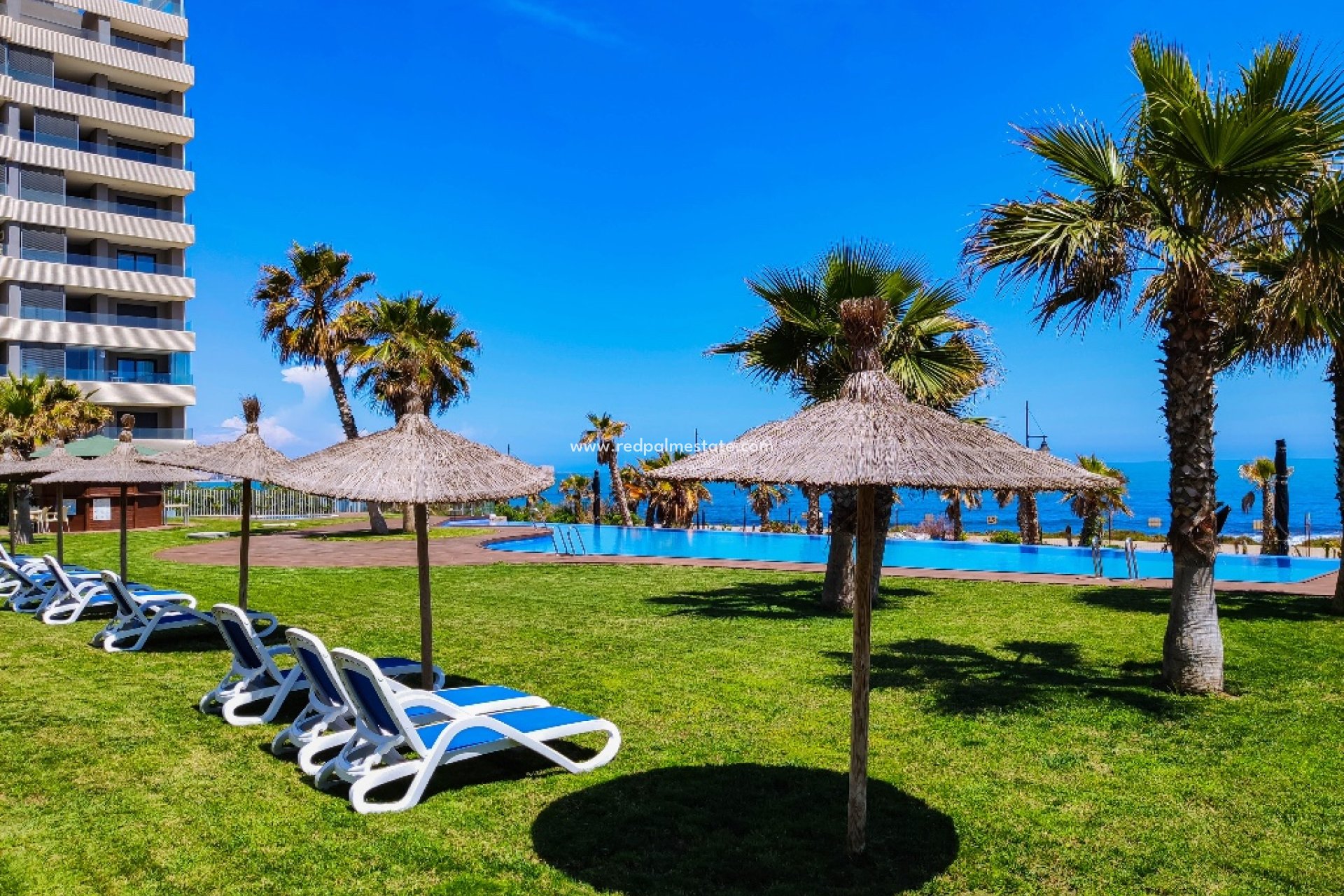 Short Term Rental - Apartments -
Torrevieja - Panorama Mar