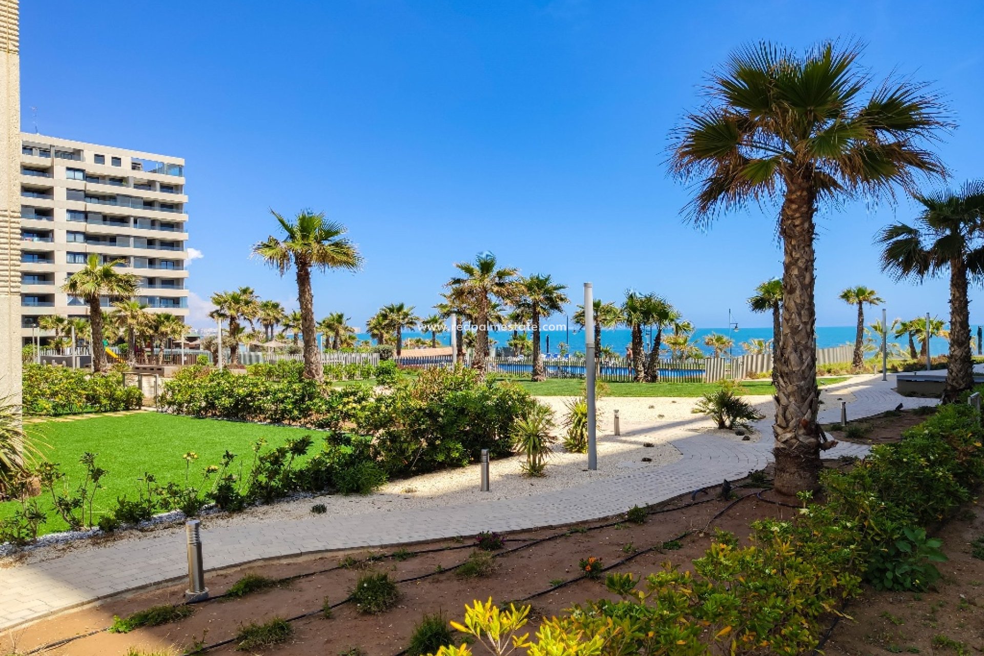 Short Term Rental - Apartments -
Torrevieja - Panorama Mar