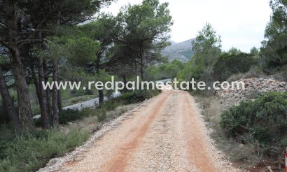 Tierra - Reventa -
            Jalón - MR2-66101