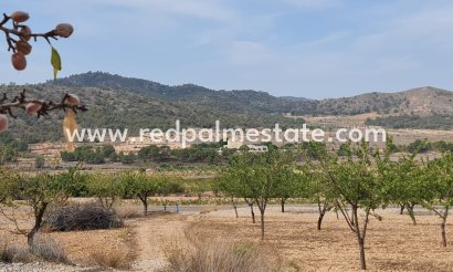 Trama - Reventa - Algueña - Inland