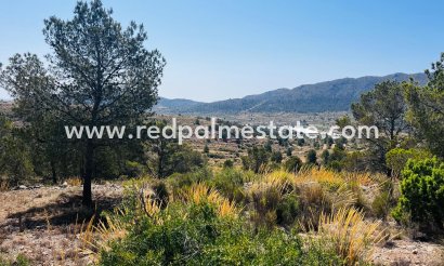 Trama - Reventa - La Romana - Inland