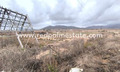 Trama - Reventa - La Romana - Inland