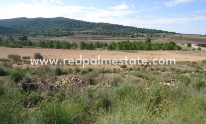 Trama - Reventa - Monóvar/Monóver - Inland