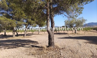 Trama - Reventa - Pinoso - Inland