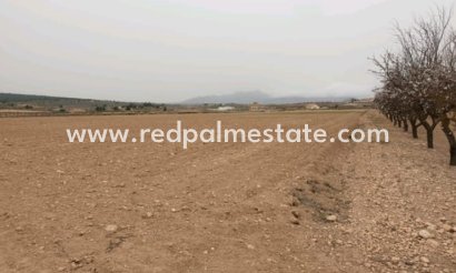 Trama - Reventa - Pinoso - Inland