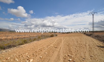Trama - Reventa - Pinoso - Inland