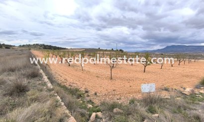 Trama - Reventa - Pinoso - Inland