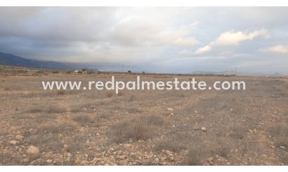 Trama - Reventa - Pinoso - Inland
