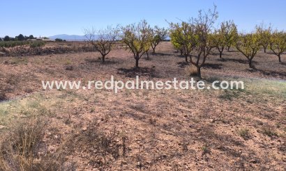 Trama - Reventa - Pinoso - Inland