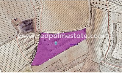 Trama - Reventa - Pinoso -
                Inland