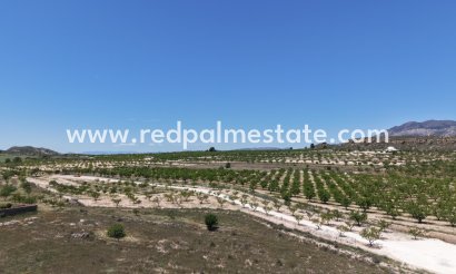 Trama - Reventa - Pinoso - Inland