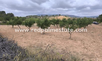 Trama - Reventa - Pinoso - Inland